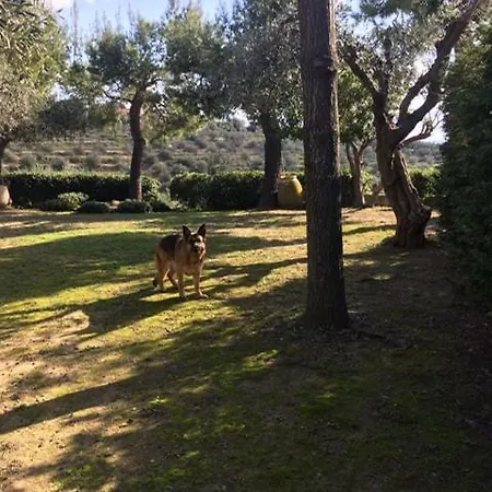 Della Pietra Villa Poggi