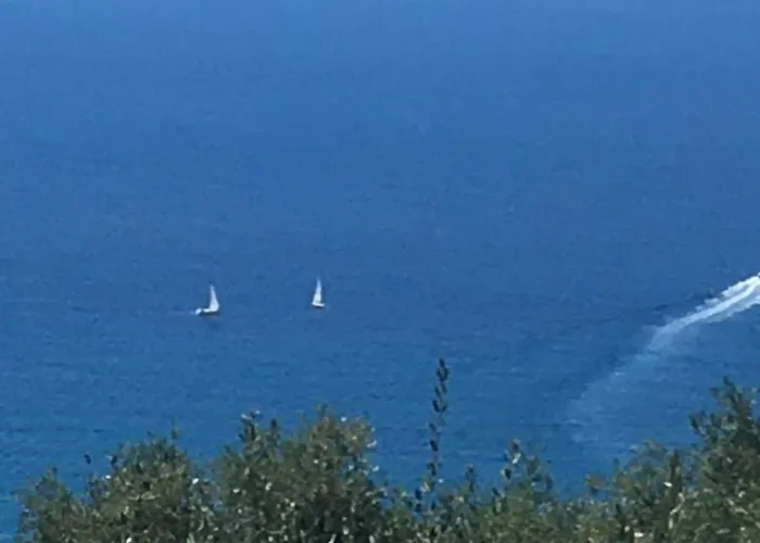 Della Pietra Poggi