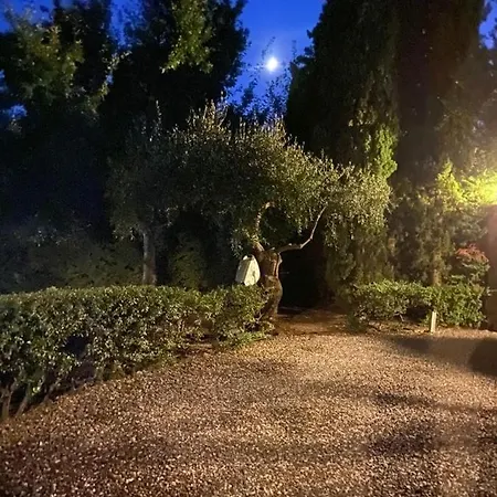 Della Pietra Poggi