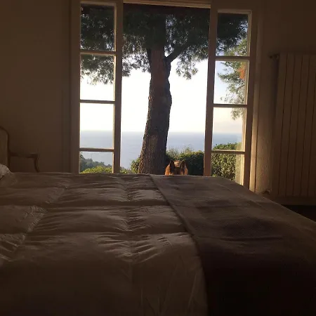 빌라 Della Pietra Poggi