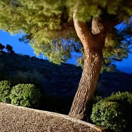 Della Pietra Villa