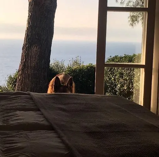 Della Pietra * Poggi