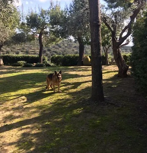 Della Pietra Βίλα Poggi